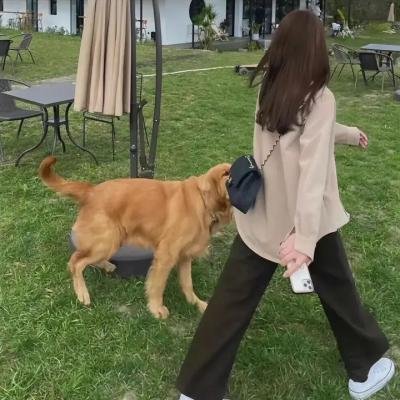密室大逃脱第二季